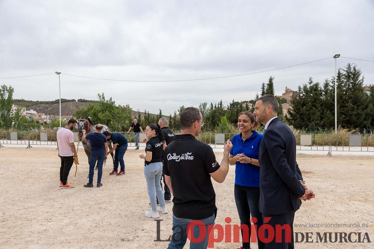 Control veterinario de los Caballos del Vino en Caravaca