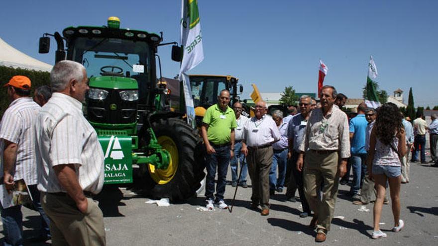 Asaja analiza las previsiones de la cosecha de aceituna de mesa y molina de esta campaña