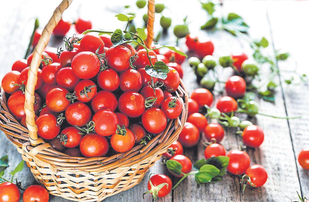 Cesta de tomates cherry.
