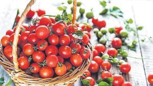 D'una hamburguesa de McDonald’s a una planta plena de tomàquets: l'experiment que s'ha fet viral a les xarxes