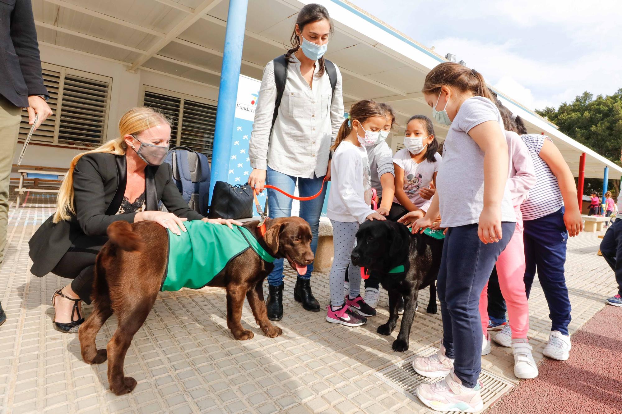 Nica, una nueva terapeuta de cuatro patas para los colegios de Ibiza y Formentera