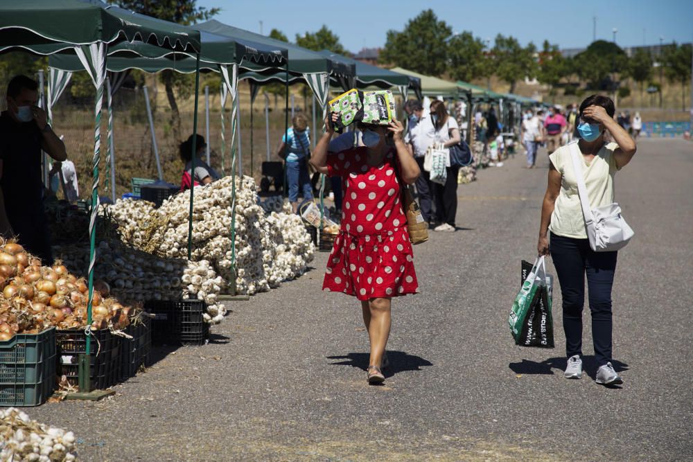 La Feria del Ajo de Zamora, reconvertida en Ifeza