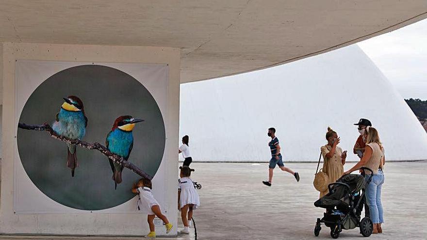 Visitantes de la exposición de fotografía &quot;Al aire libre&quot;.