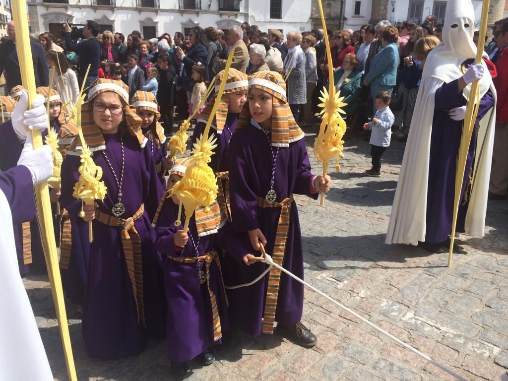 Domingo de Ramos en la provincia