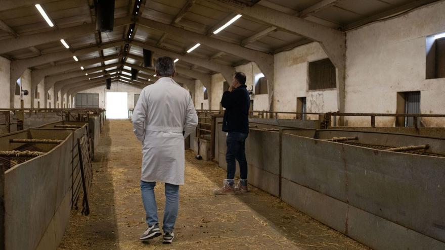 Parte de las instalaciones del Centro de Selección y Mejora Genética del Ovino-Caprino de Castilla y León con sede en Zamora. | A.B.