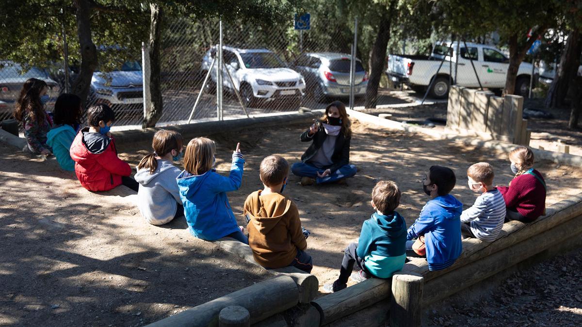 Clases al aire libre en el CEIP Els Xiprers, en plena Collserola, como medida de prevención ante el covid-19