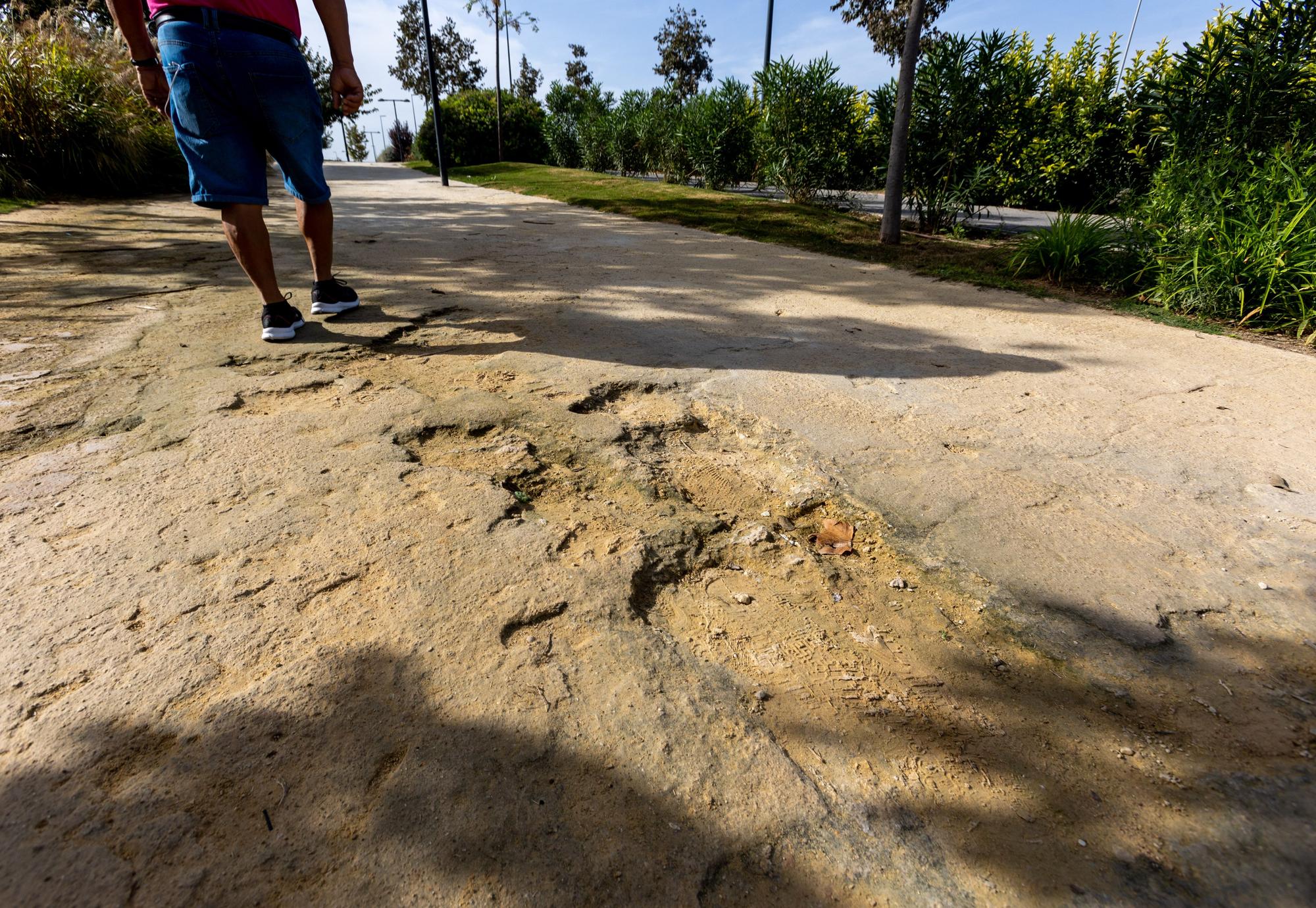 La Vía Parque en San Gabriel, una pista "olímpica" de obstáculos para "runners"