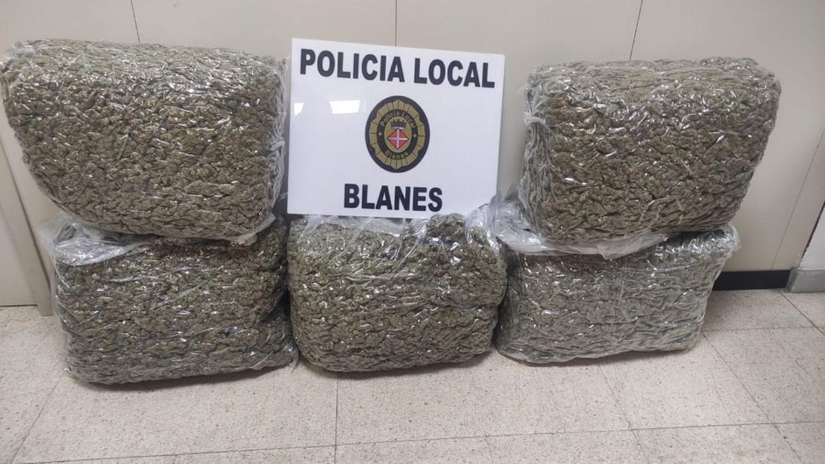La marihuana comissada per la Policia Local de Blanes