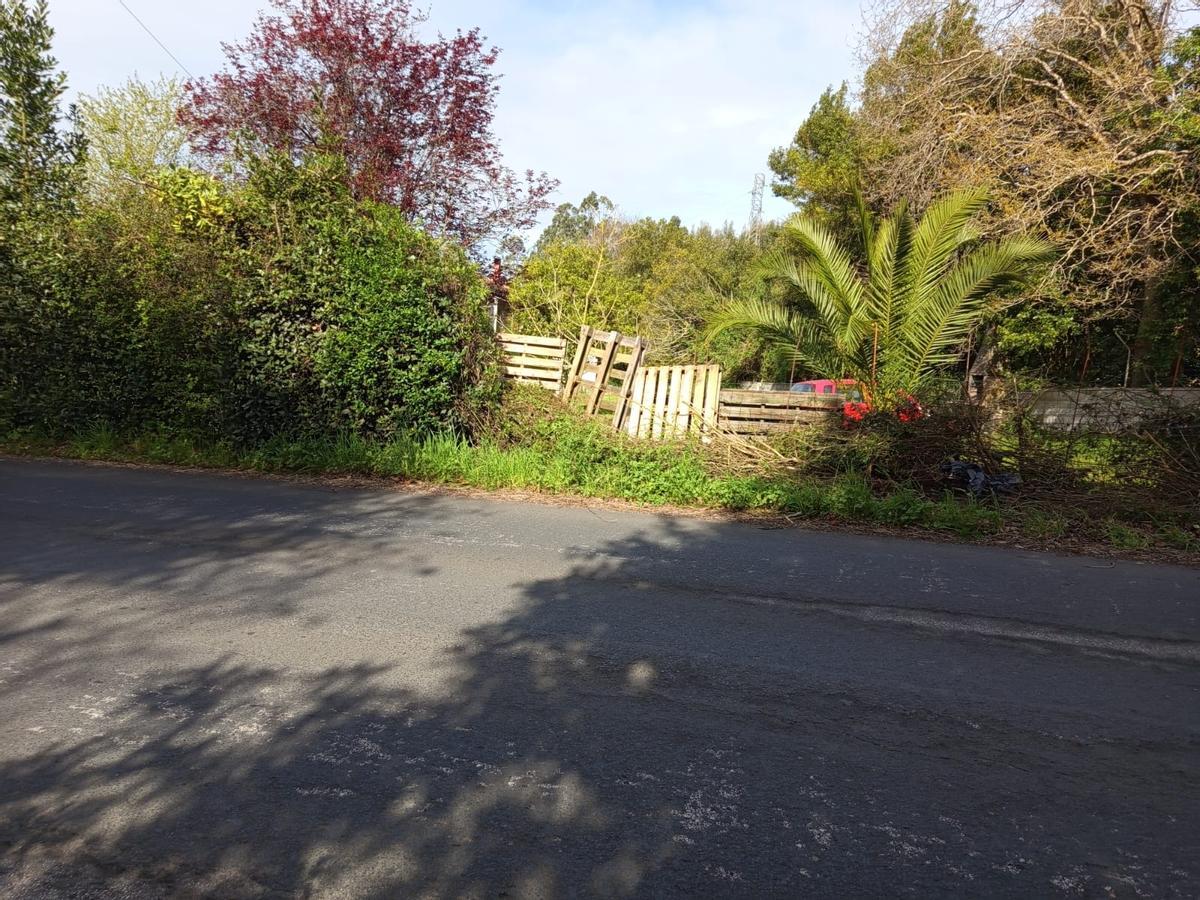 Entrada a la finca donde un vehículo accedió el pasado fin de semana.