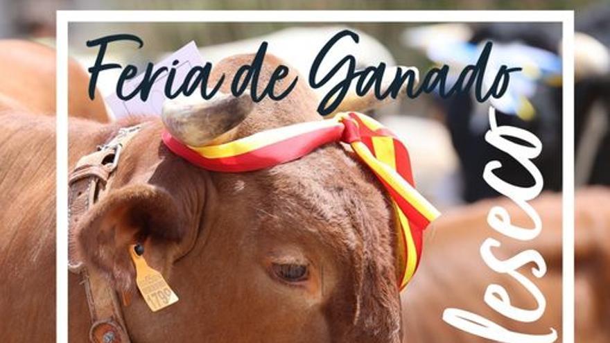 Gran Feria de Ganado de las Fiestas del Huevo Duro de Valleseco