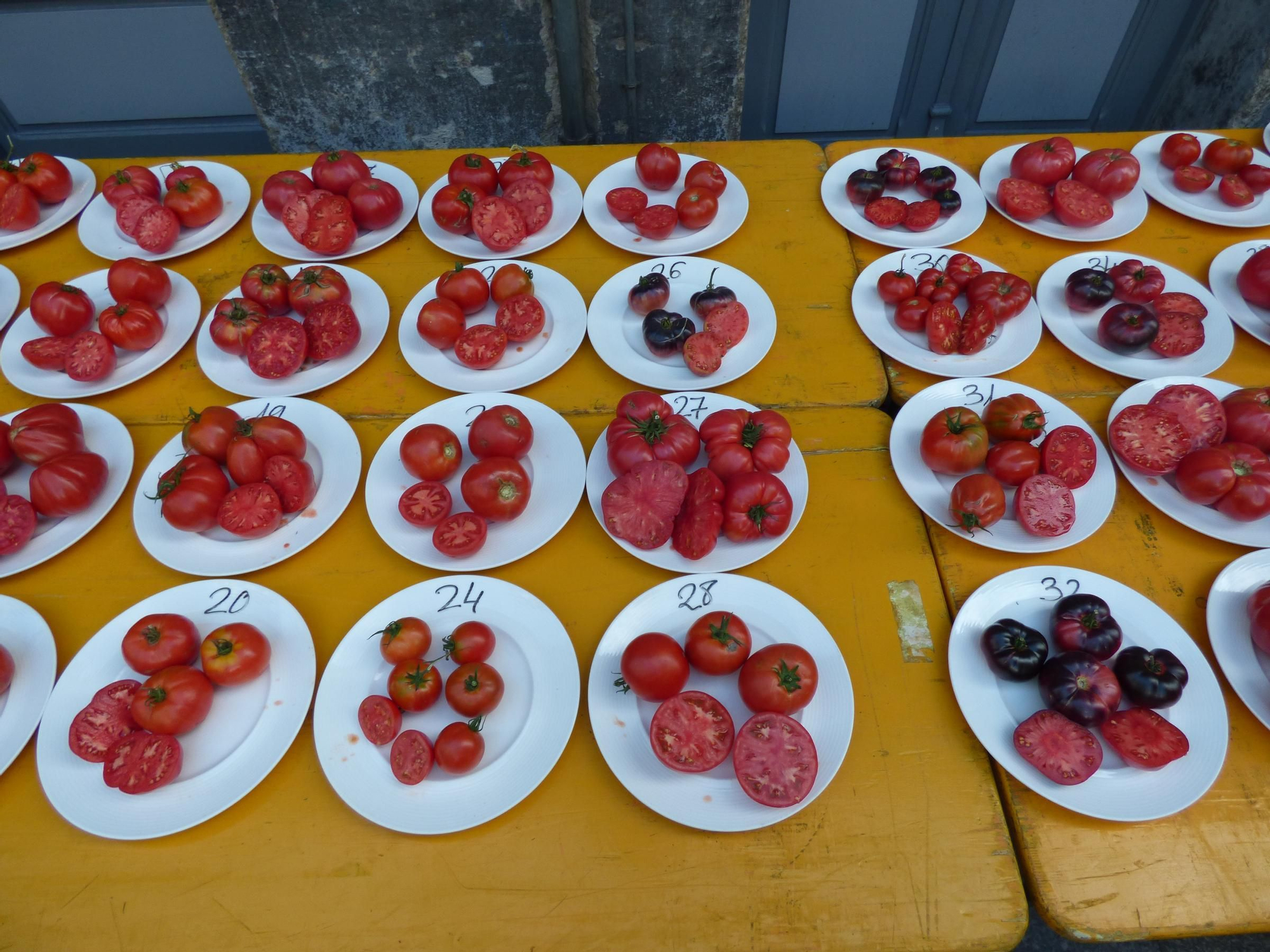 Así fue la elección del mejor tomate de Cangas del Narcea
