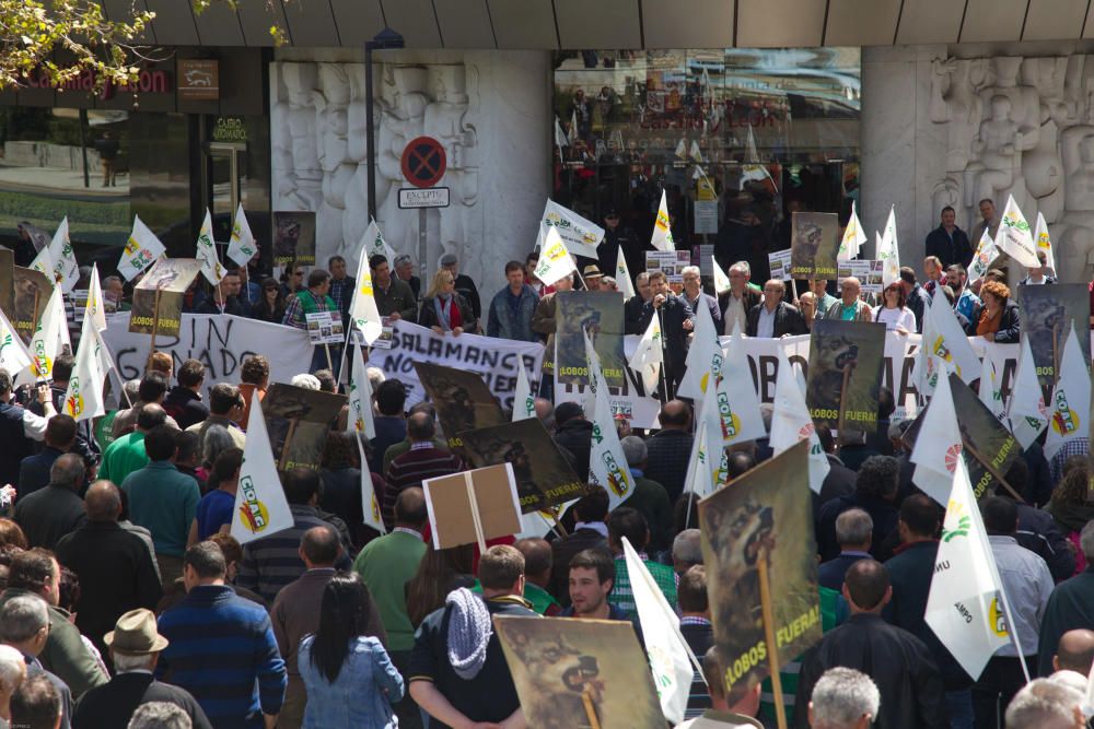 La Alianza se manifiesta en contra del lobo