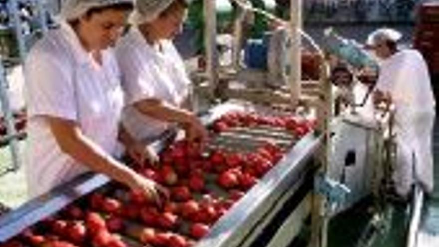 El sector agroalimentario de Vegas Bajas factura 700 millones de euros