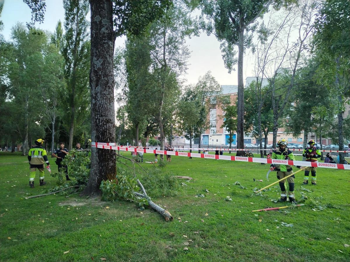 Zona de La Isla de Plasencia precintada por la caída de ramas.