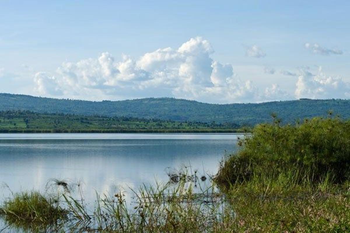 Probablemente la zona menos conocida de Ruanda sea el este donde se encuentra el Parque Nacional Akagera.