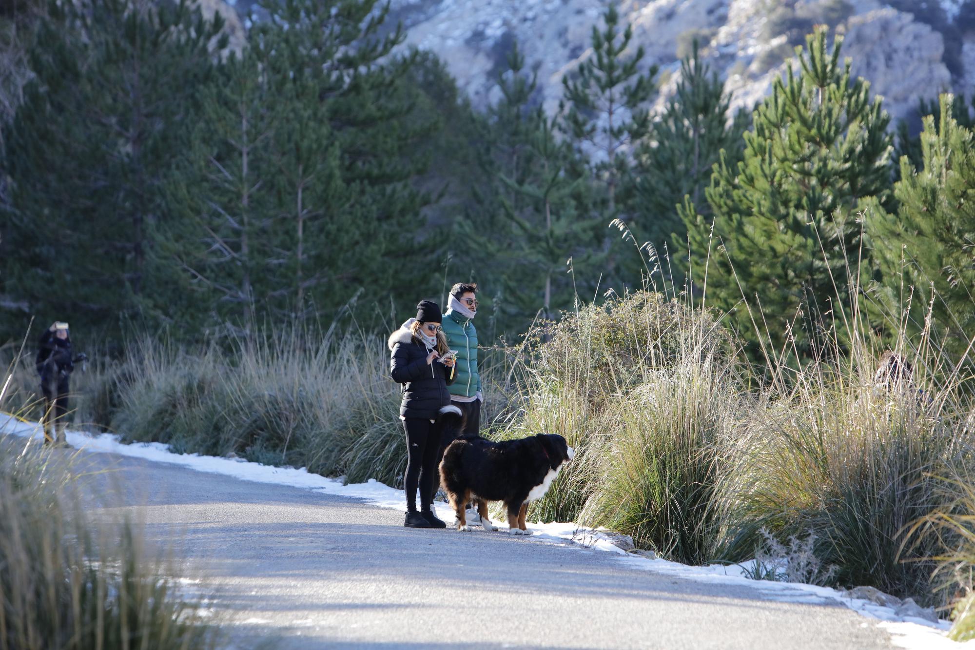 Schnee in der Tramuntana - Wanderung am Stausee Cúber auf Mallorca