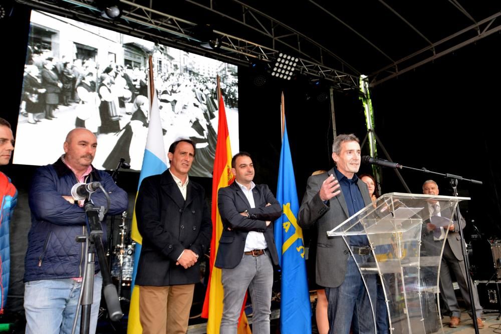 Folixa na Primavera de Mieres