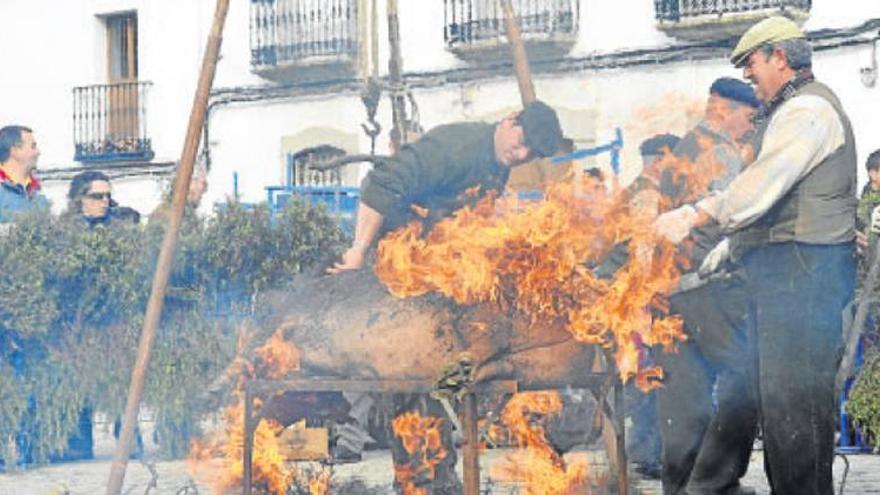 Escenifican una matanza al puro estilo tradicional