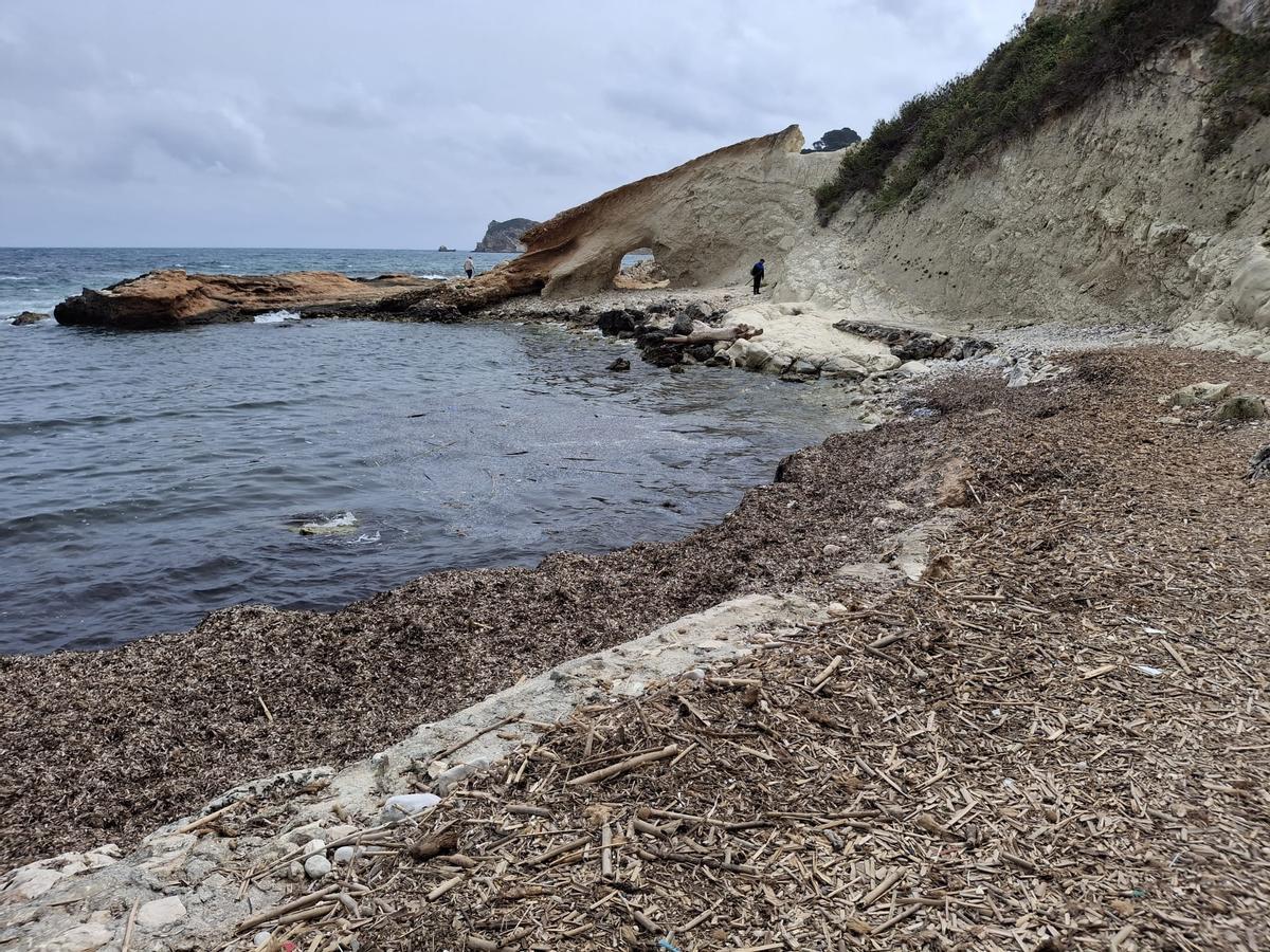 Imagen de la Cala Blanca de Xàbia con restos de cañas, aún.