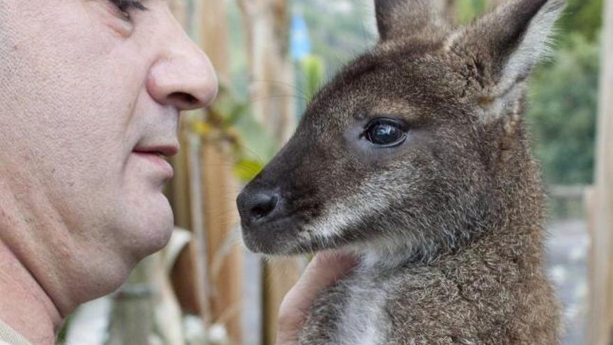 El Bosque se quedó sin su mascota - La Nueva España