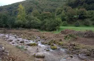La "brutal" tala que el ecologismo denunció en el río Aller se queda en falta "leve"