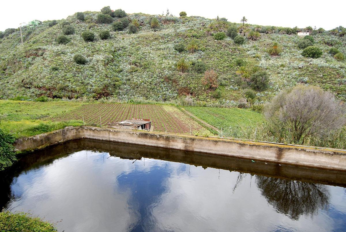 Estanque y fincas agrícolas en las proximidades del Barranco del Guiniguada
