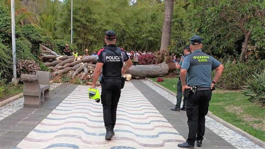 Un grupo de personas trató de ayudar al hombre al que se le cayó un drago encima