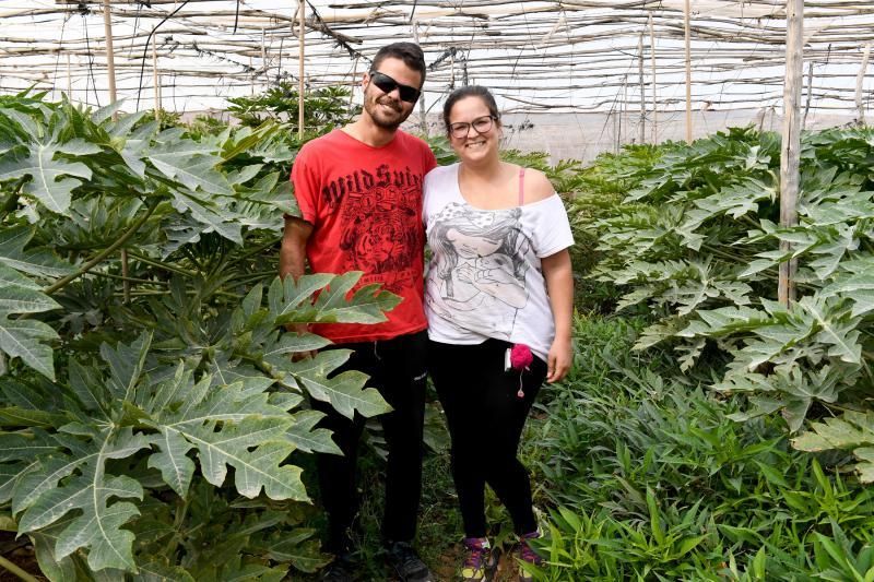 Dos jóvenes agricultores que cultivan, procesan y