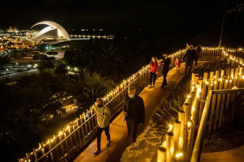 'Naturaleza Encendida'  en el Palmetum (Santa Cruz de Tenerife)