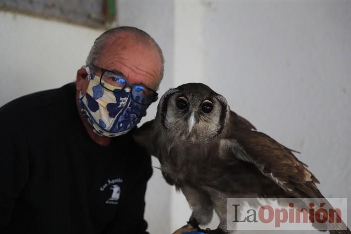 Las Águilas del Sol de Puerto Lumbreras piden ayud