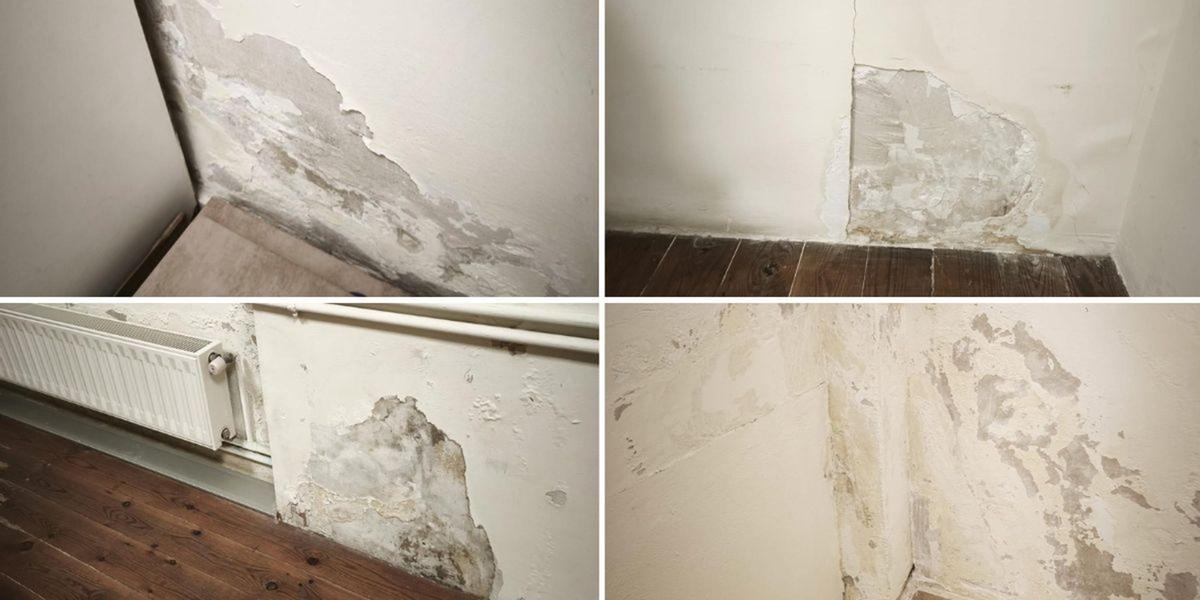 El espacio al que han sido trasladados los funcionarios municipales del Ayuntamiento.