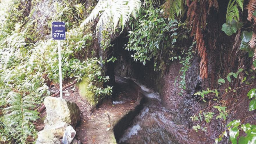 El sendero de los nacientes de Marcos y Cordero hasta Los Tilos es una de las rutas más impresionantes de Canarias, aunque tiene riesgos que deben ser controlados.