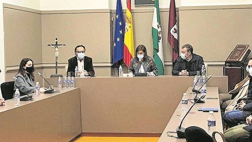 Dos intensos meses para dividir un pleno en Baena