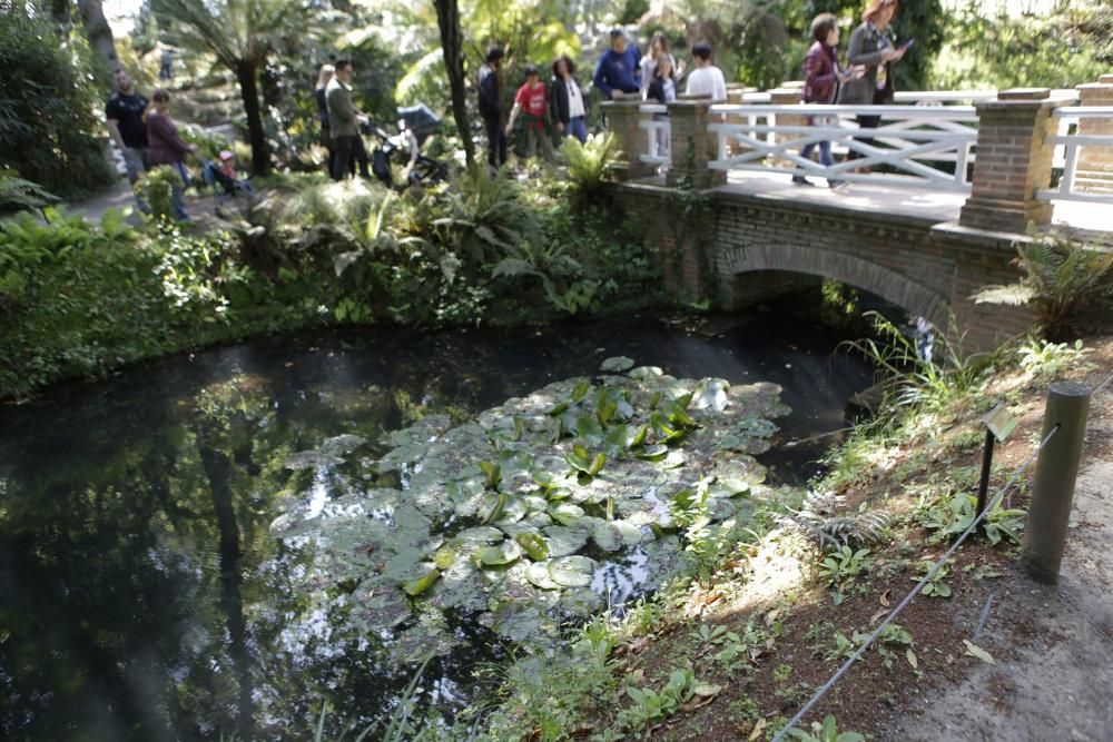 El Botánico celebra su 15 cumpleaños