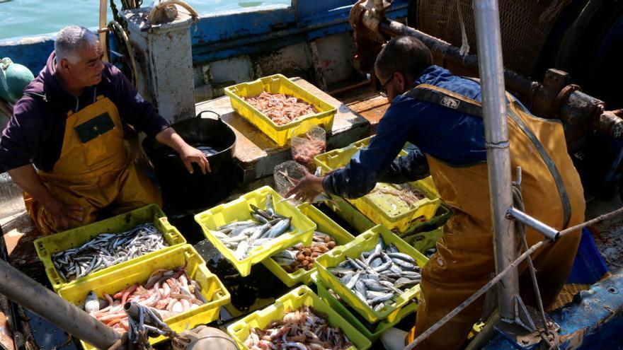 Dos pescadors acabant de triar i classificar el peix damunt la barca