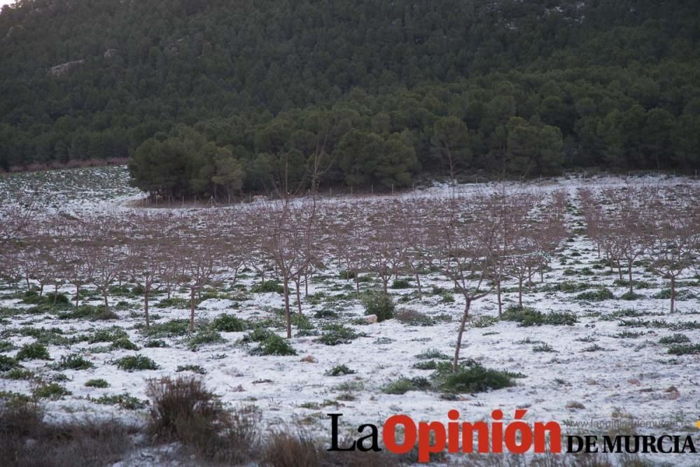 Nieva en Inazares