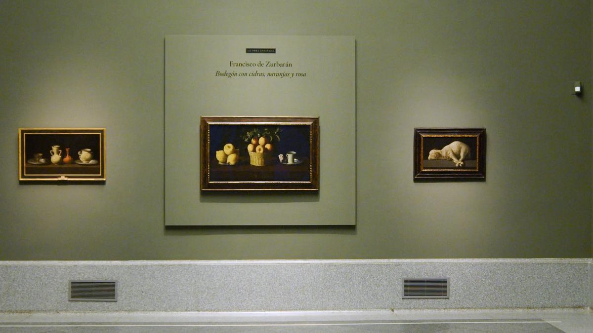 Una obra maestra de Zurbarán se expone en el Museo del Prado