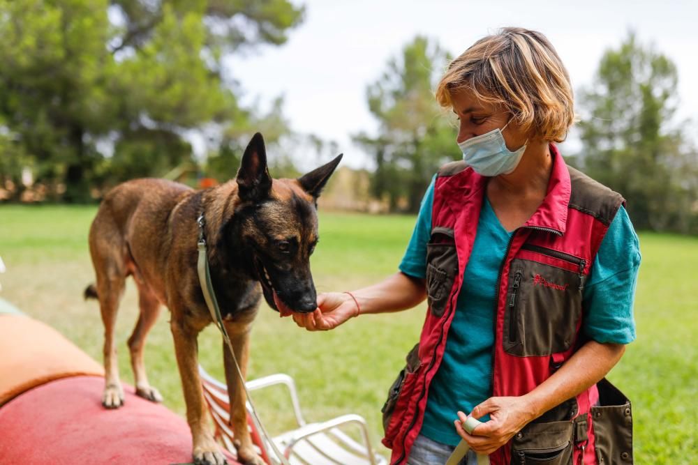 Un instructor de la ONCE prueba en Ibiza un proyecto de vacaciones formativas con mascotas