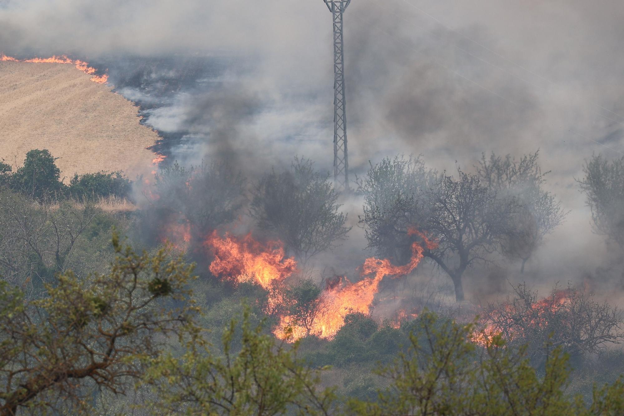 EN IMÁGENES | El incendio forestal de Añón de Moncayo