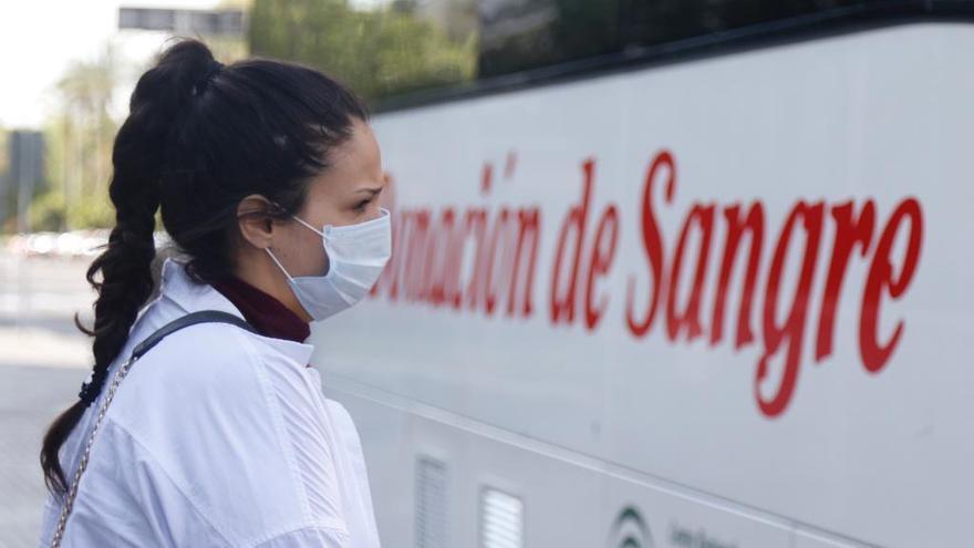 Coronavirus en Córdoba: esta semana se puede donar sangre en el Paseo de la Victoria