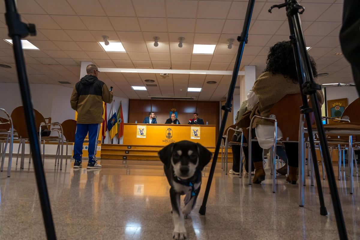 Presentación de la XXIV Exposición Canina Nacional y la XXXVIII Exposición Canina Internacional.