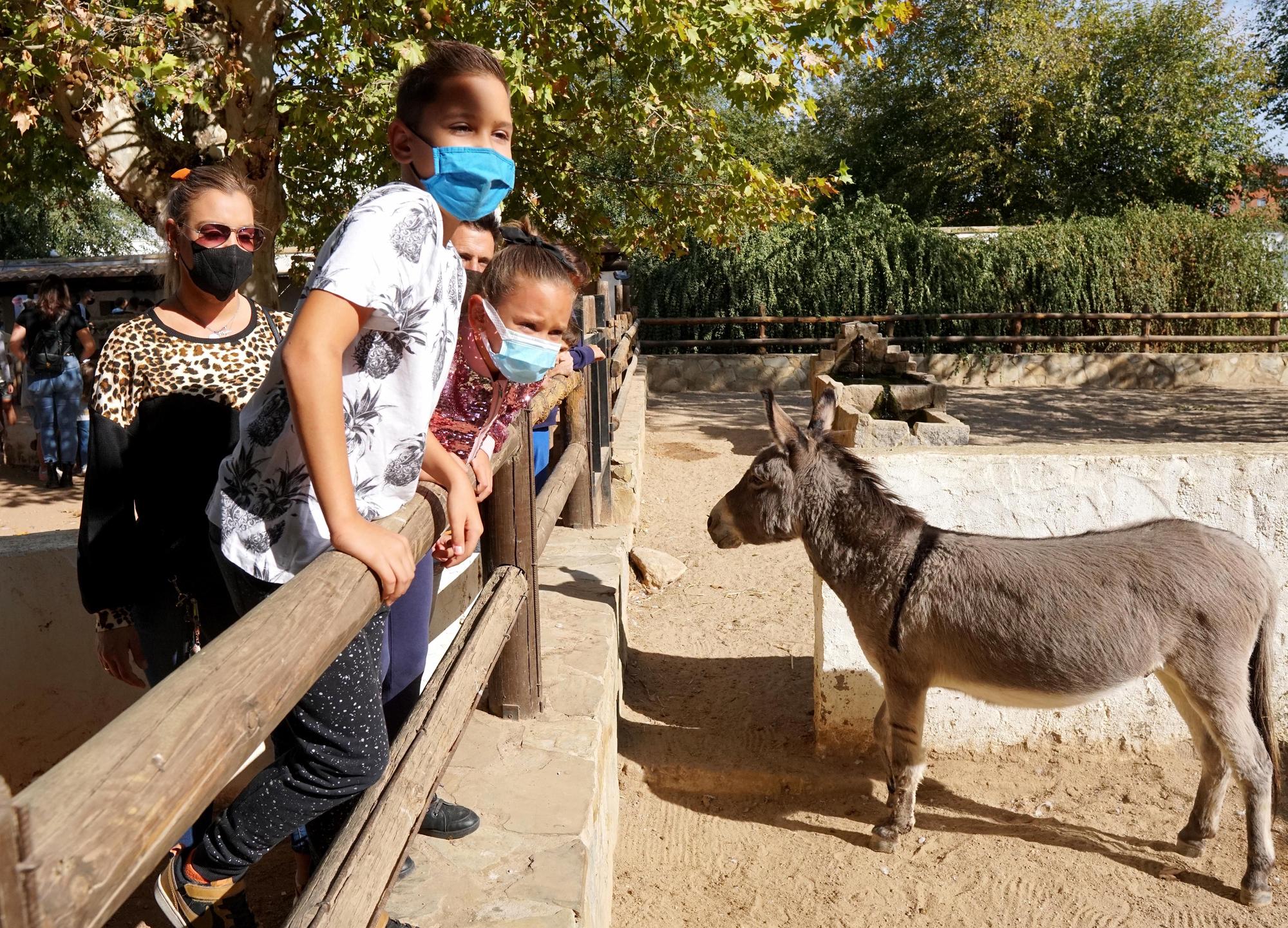 Día festivo en el Zoológico de Córdoba