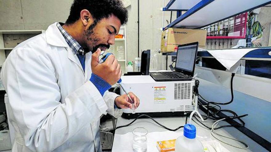 El investigador Daniel R. Bondyale en su laboratorio de Ecoaqua. Abajo, muestras de las medusas en estudio. | | ÁNGEL MEDINA/EOMAR