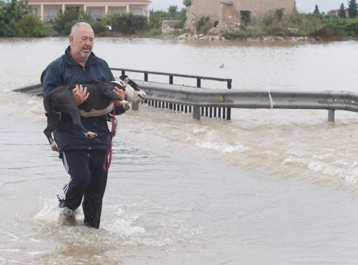 En directo | AEMET baja a nivel amarillo la alerta por lluvias en la provincia de Alicante para mañana