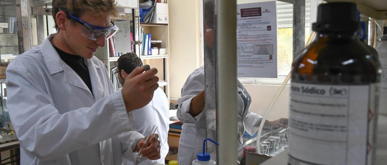 Científicos trabajando en uno de los laboratorios del Instituto de Productos Naturales y Agrobiología, en Tenerife.