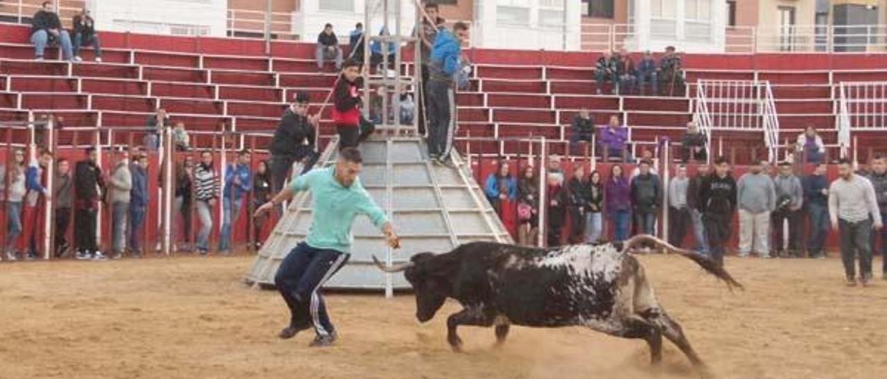 Una peña podría pagar hasta 30.000 euros  por celebrar «bous» sin vigilancia municipal