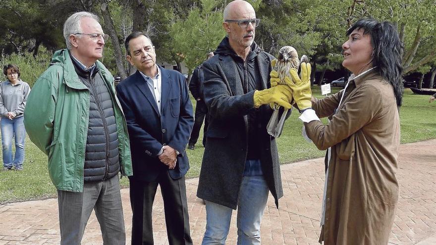 El destituido, Julià Álvaro, en la suelta de un águila en el centro de recuperación de fauna de El Soler.