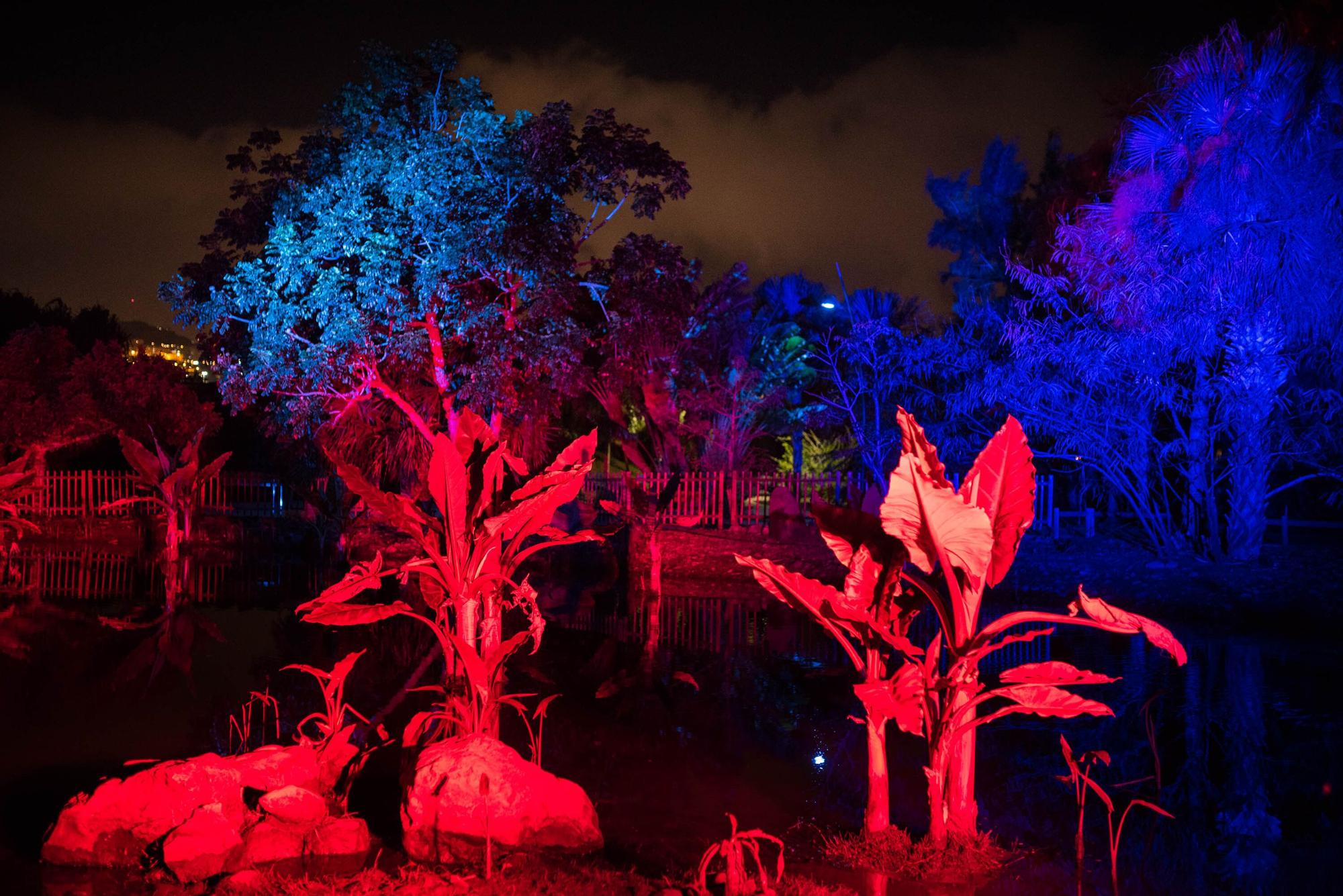 Estreno del espectáculo 'Naturaleza Encendida' en el Palmetum