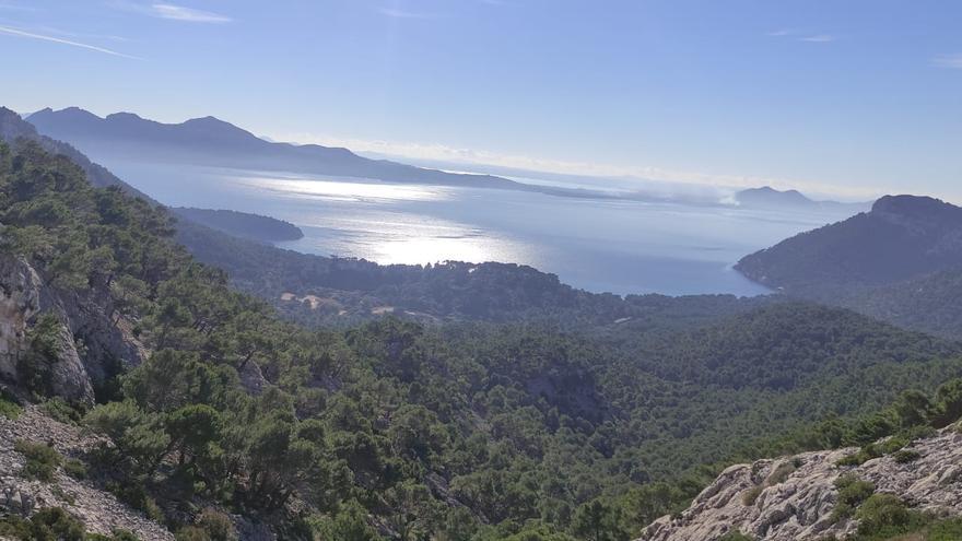 La propiedad del hotel Formentor trasladará las toneladas de tierras acumuladas a una cantera