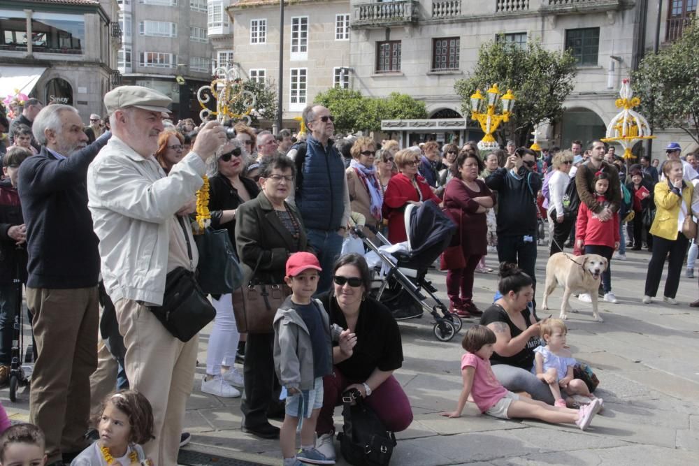 Cantos, humor y flores en los "maios" de Pontevedra